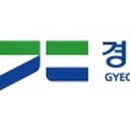 신곡동 메타세쿼이아길 경기도뉴스