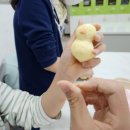 찾아가는 토탈공예 교실 이미지