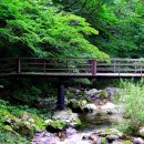 (주)심산 이미지