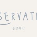 노블스튜디오 네이버블로그