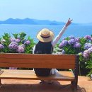 광동천 이미지