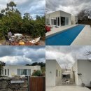 수수안경 | 제주 수수미미 독채 귤밭뷰