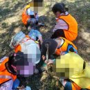 깨비지역아동센터 | [깨비의 숲마을]시흥 갯골생태공원 체험 후기 ㅣ 아이와 특별한 자연놀이 ㅣ 유아체험추천 ㅣ 시흥 아이...