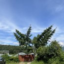 양평포레스트 스테이 이미지