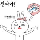 제이에스엠컴퍼니