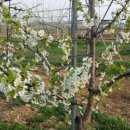 장금농장 이미지