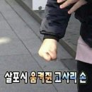 싸가지엔 - 은평구 통일로69길 24 | 싸가지없는 Chatly AI 환불 후기 | 챗틀리 환불 방법 | 챗틀리 환불 사례