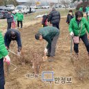 삽교교차로