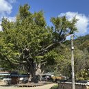 화순 우체국 앞 이미지