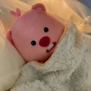 밝은이안과의원 | 잠실밝은눈안과 스마일라식프로 솔직후기 | 상담, 주차 정보, 예약 꿀팁