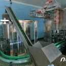 황주목장 뉴스1