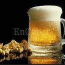 맥주펌 이미지