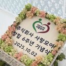 주식회사별빛담아