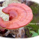 보현농산 이미지