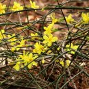 검단산 관광안내소 이미지