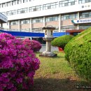 안동대학교박물관 이미지