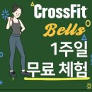 개인택시칠곡군지부 | 칠곡크로스핏 벨즈 칠곡 초보자도 할 수 있는 크로스핏