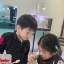 GR(담양군)-[담순로]-하-1 | 전남 담양 카페 더하루 대형 수족관부터 동물 앵무새 조명쇼까지 즐기기