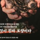 내촌해장국 이미지