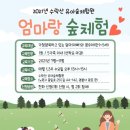천보산 유아숲체험원 이미지