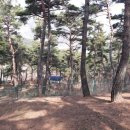 영소목장 이미지