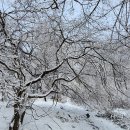 전북 장수 팔공산 설경산행과 완주 고덕산을 다녀와서 이미지