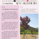 샬롬 Daum카페