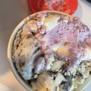 펫블리강아지&미라클고양이 | 너는 쓴다. 지긋지긋하게도 세상이 좋다고.