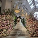 지노게임즈 | 혀나의 결혼... feat. 메리빌리아 더프레스티지 하객 후기_더홀릭 보드게임카페 수원역점, 단체 보드...