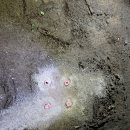 주식회사 대성인쇄
