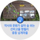 역사와 문화가 살아 숨 쉬는 선비고을 명월리 중동 넙게마을(제주시 SNS 시민서포터즈 기자단 '탐라천년...