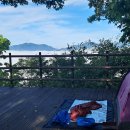 제로그램 파피용 리미티드 에디션 오키드 이미지