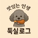 회친구참치 | 대구 수성구 들안길 참치회 아라한참치 솔직후기