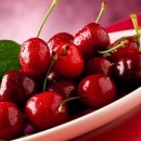 체리 이미지
