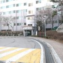 세란성심의원 이미지