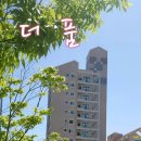 더품 이미지