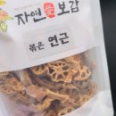 자연애보감