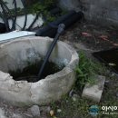 주생면 상동마을 이미지