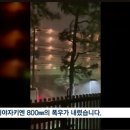 [종편] &#34;일본행 비행기가 마침 떠서&#34;…한국 관광객 멘붕 상황 이미지