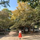 한달살기 준비부터, 전주 한옥 숙소 투숙 후기까지! (+비용, 맛집 추천)