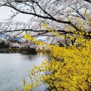 금오산길 이미지