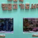 버들치도서관 이미지