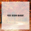 로즈영어과외