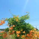 무지개삼성약국 이미지