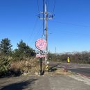 남조로사려니숲길 앞 이미지