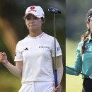 블루베이 이미지