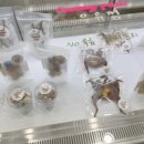 메리앤래리 이미지