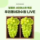 우리동네과수원