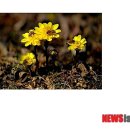 공중실(1층) 뉴시스