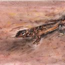 자연+인간+우연 이미지